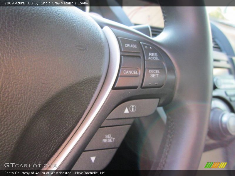 Grigio Gray Metallic / Ebony 2009 Acura TL 3.5