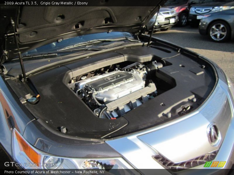 Grigio Gray Metallic / Ebony 2009 Acura TL 3.5