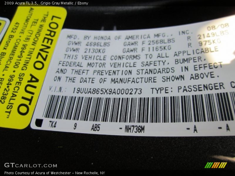Grigio Gray Metallic / Ebony 2009 Acura TL 3.5