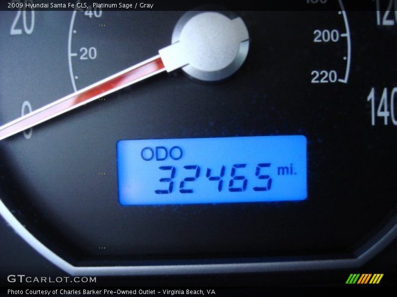 Platinum Sage / Gray 2009 Hyundai Santa Fe GLS