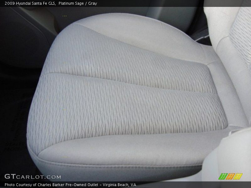 Platinum Sage / Gray 2009 Hyundai Santa Fe GLS