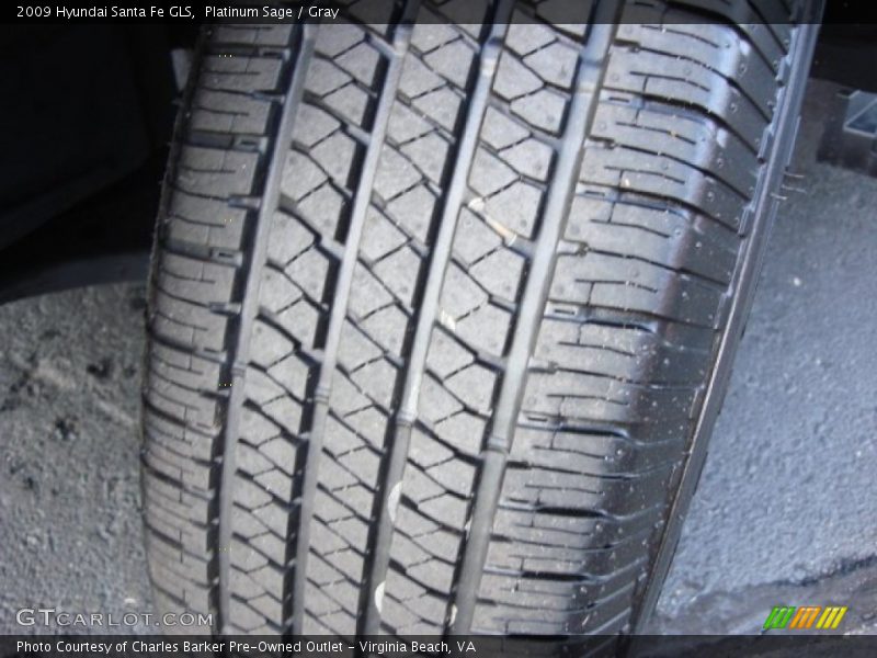 Platinum Sage / Gray 2009 Hyundai Santa Fe GLS