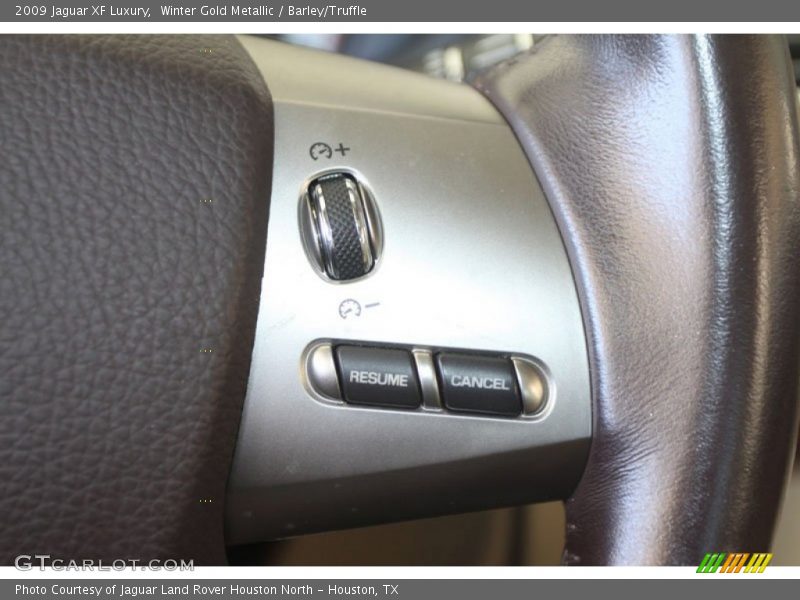 Winter Gold Metallic / Barley/Truffle 2009 Jaguar XF Luxury