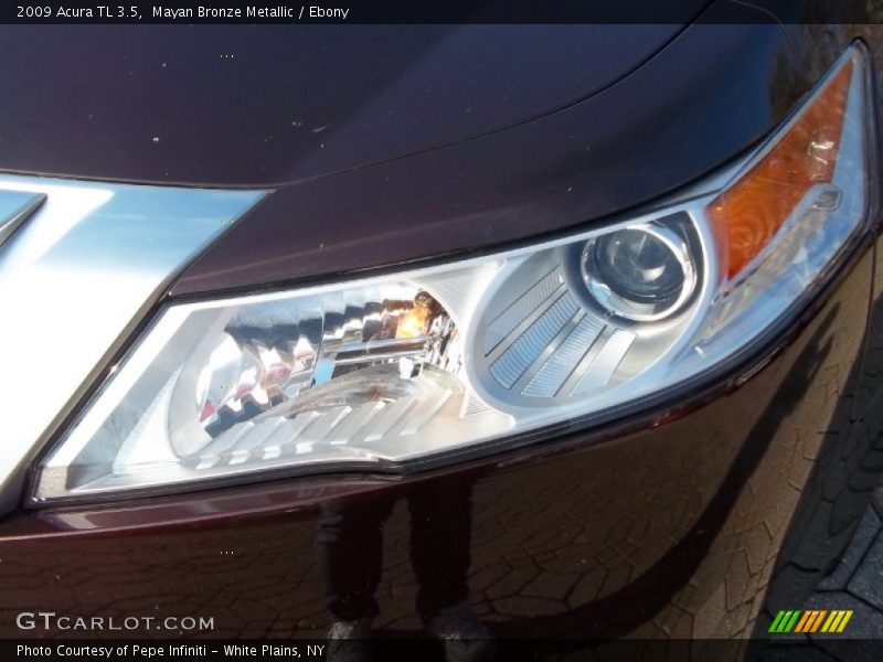 Mayan Bronze Metallic / Ebony 2009 Acura TL 3.5