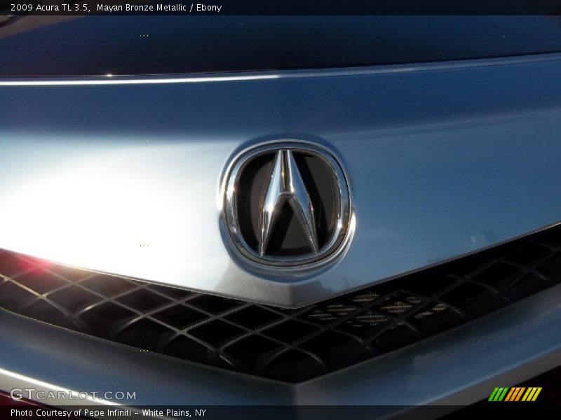 Mayan Bronze Metallic / Ebony 2009 Acura TL 3.5