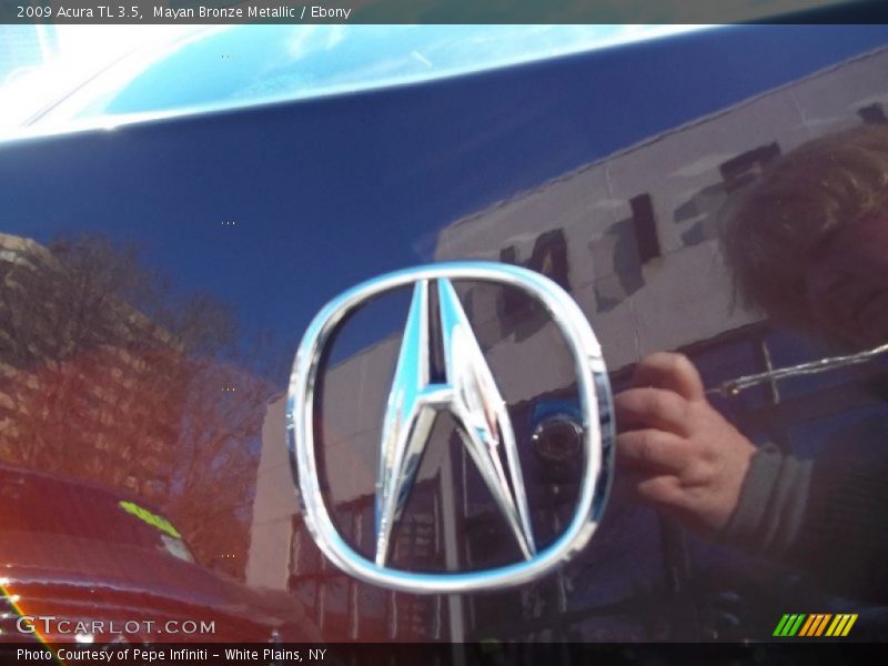 Mayan Bronze Metallic / Ebony 2009 Acura TL 3.5