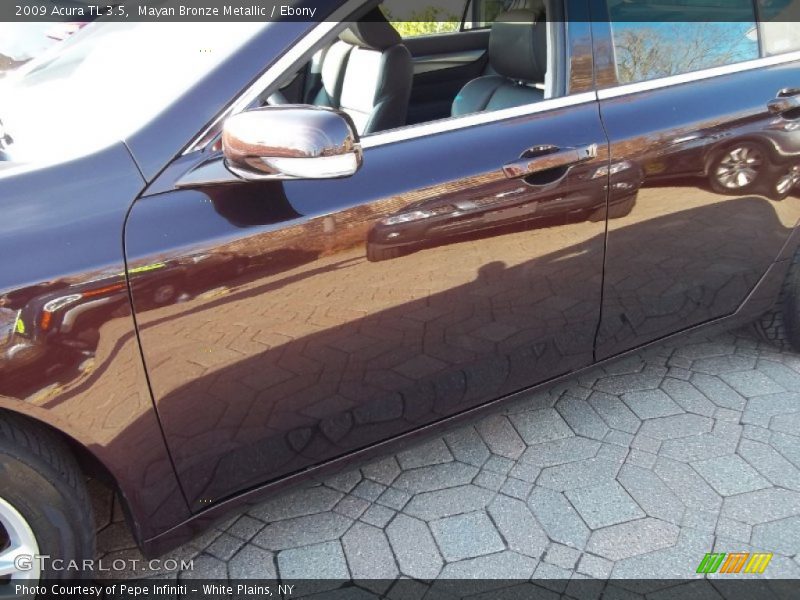 Mayan Bronze Metallic / Ebony 2009 Acura TL 3.5