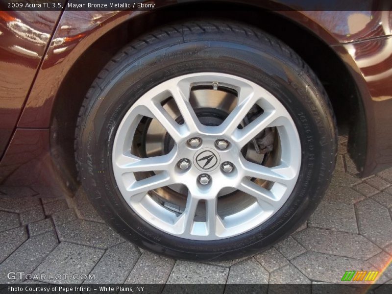 Mayan Bronze Metallic / Ebony 2009 Acura TL 3.5