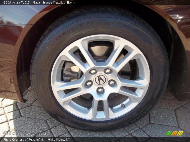 Mayan Bronze Metallic / Ebony 2009 Acura TL 3.5