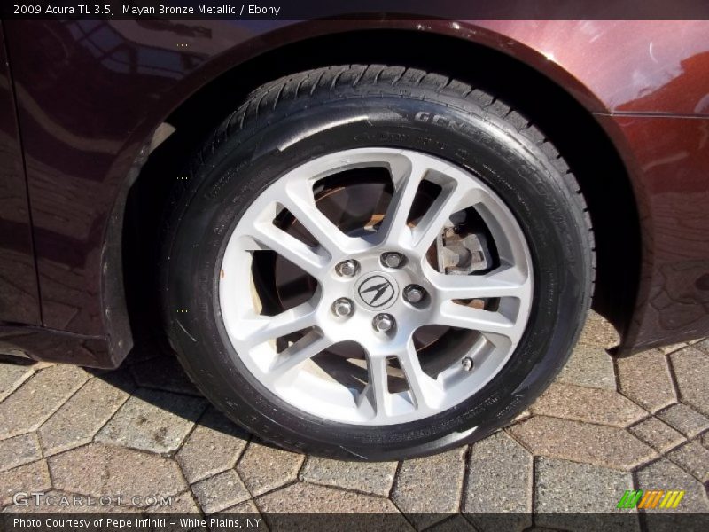 Mayan Bronze Metallic / Ebony 2009 Acura TL 3.5