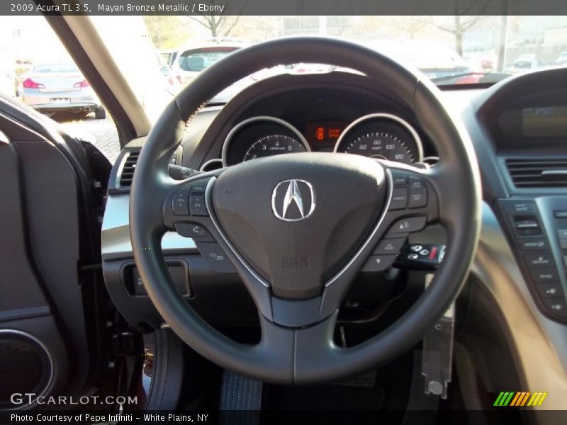 Mayan Bronze Metallic / Ebony 2009 Acura TL 3.5