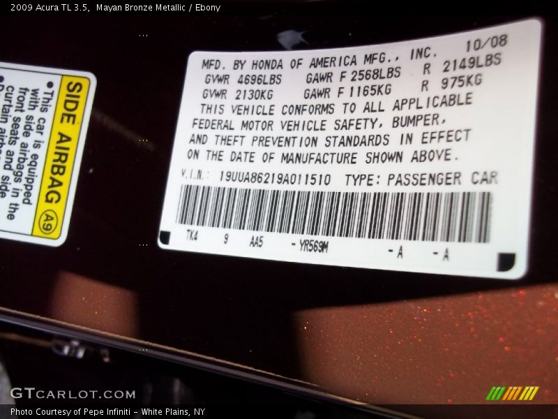 2009 TL 3.5 Mayan Bronze Metallic Color Code YR569M