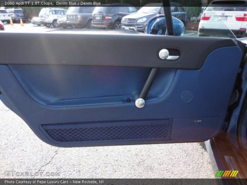 Door Panel of 2000 TT 1.8T Coupe