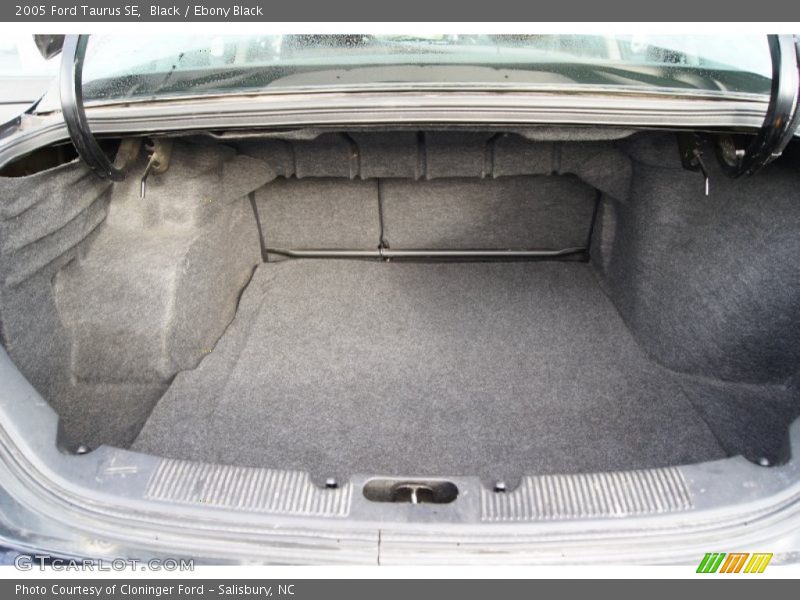 Black / Ebony Black 2005 Ford Taurus SE