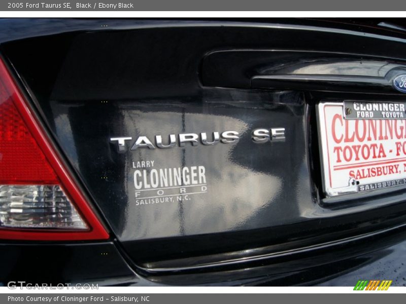 Black / Ebony Black 2005 Ford Taurus SE