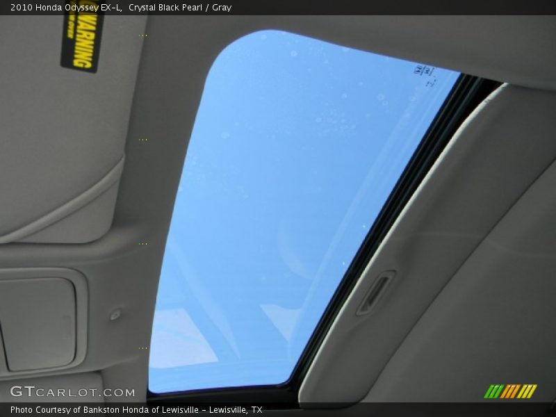 Crystal Black Pearl / Gray 2010 Honda Odyssey EX-L