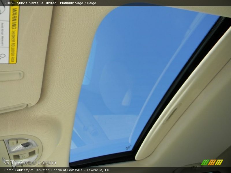 Platinum Sage / Beige 2009 Hyundai Santa Fe Limited