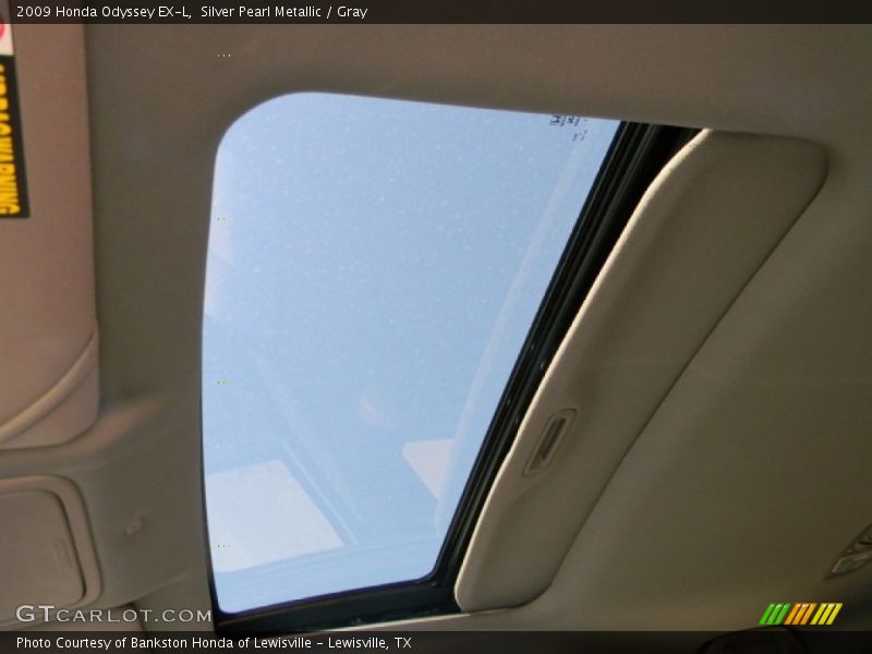 Silver Pearl Metallic / Gray 2009 Honda Odyssey EX-L