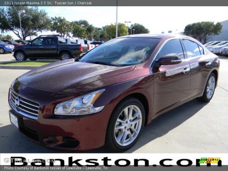 Tuscan Sun / Charcoal 2011 Nissan Maxima 3.5 SV