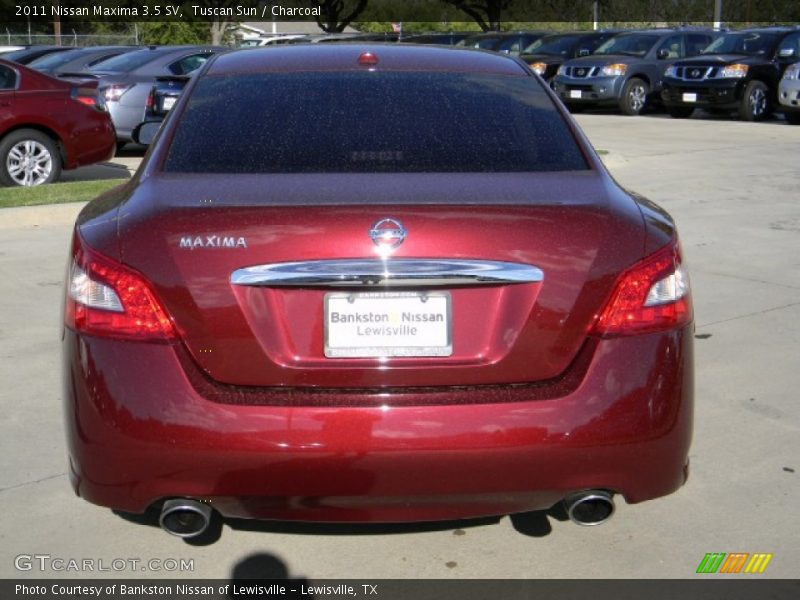 Tuscan Sun / Charcoal 2011 Nissan Maxima 3.5 SV