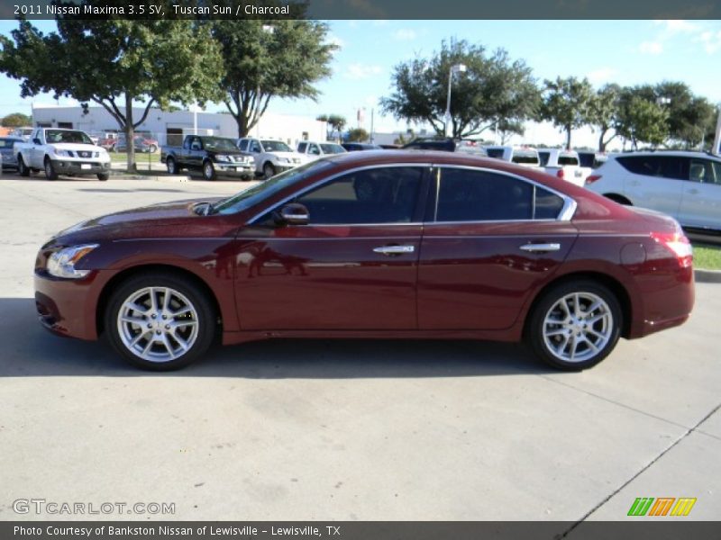 Tuscan Sun / Charcoal 2011 Nissan Maxima 3.5 SV