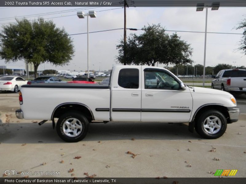 Natural White / Gray 2002 Toyota Tundra SR5 Access Cab