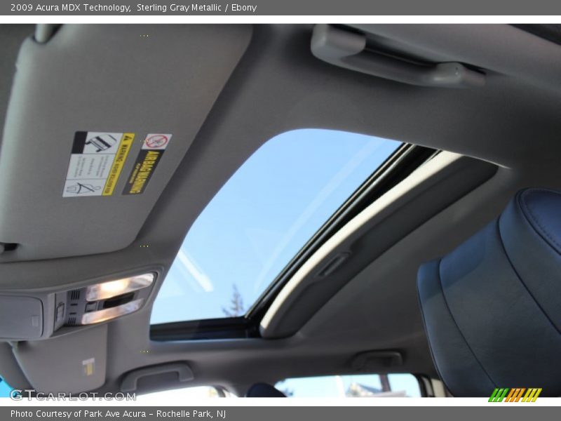 Sterling Gray Metallic / Ebony 2009 Acura MDX Technology