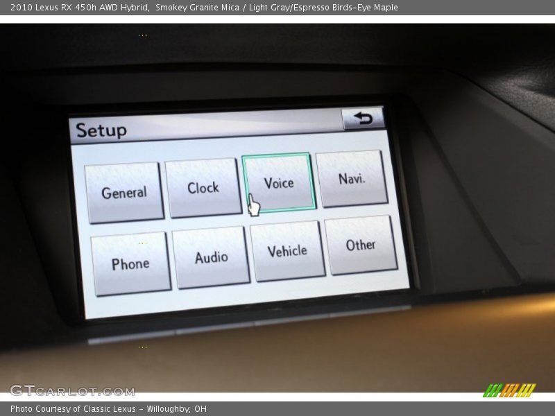 Smokey Granite Mica / Light Gray/Espresso Birds-Eye Maple 2010 Lexus RX 450h AWD Hybrid