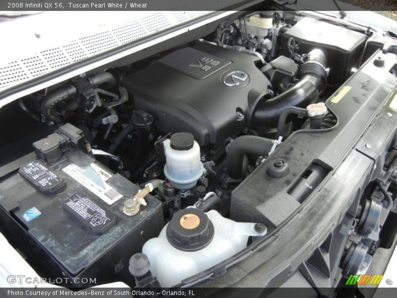 Tuscan Pearl White / Wheat 2008 Infiniti QX 56