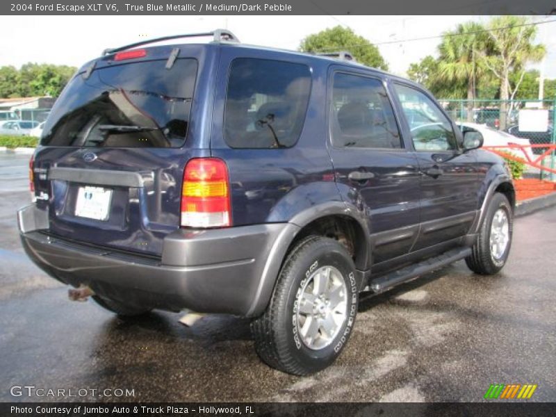 True Blue Metallic / Medium/Dark Pebble 2004 Ford Escape XLT V6