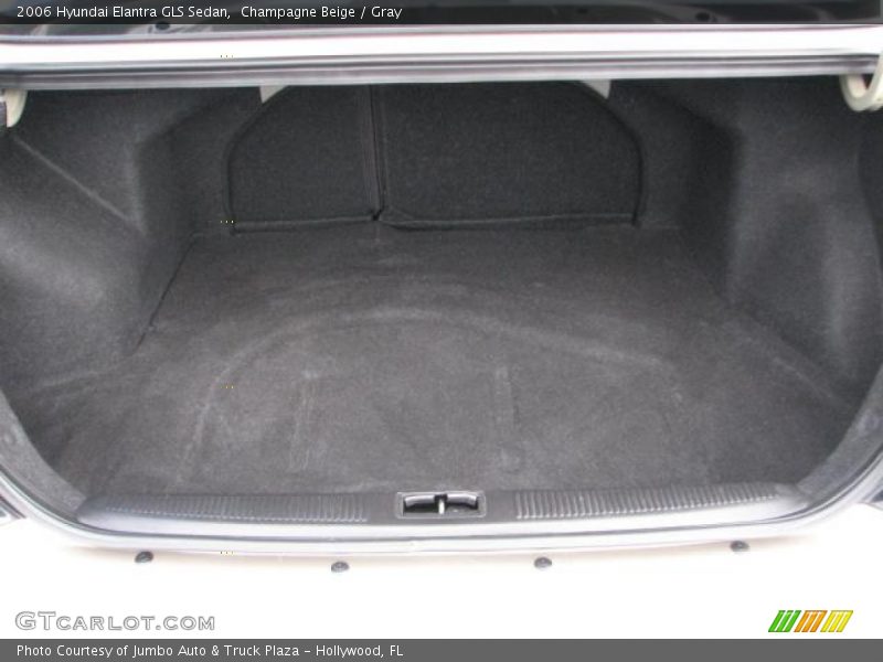 Champagne Beige / Gray 2006 Hyundai Elantra GLS Sedan