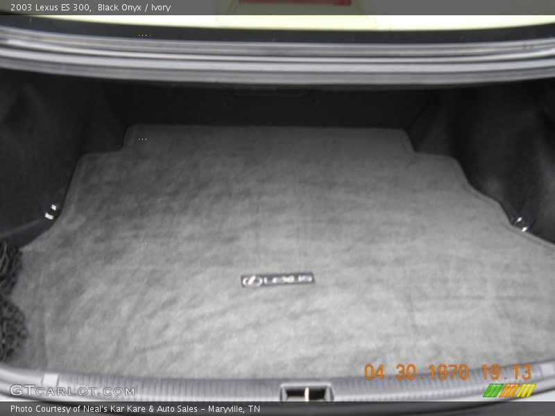 Black Onyx / Ivory 2003 Lexus ES 300