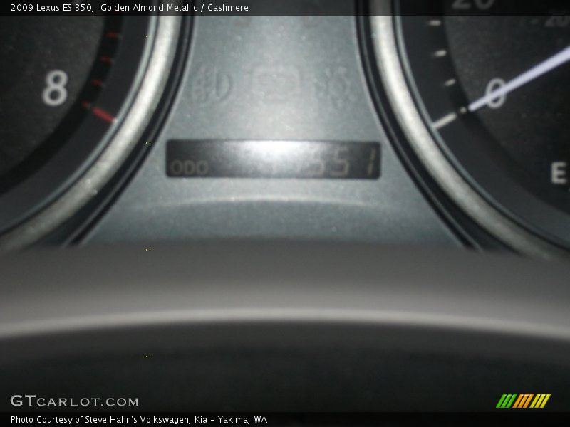 Golden Almond Metallic / Cashmere 2009 Lexus ES 350