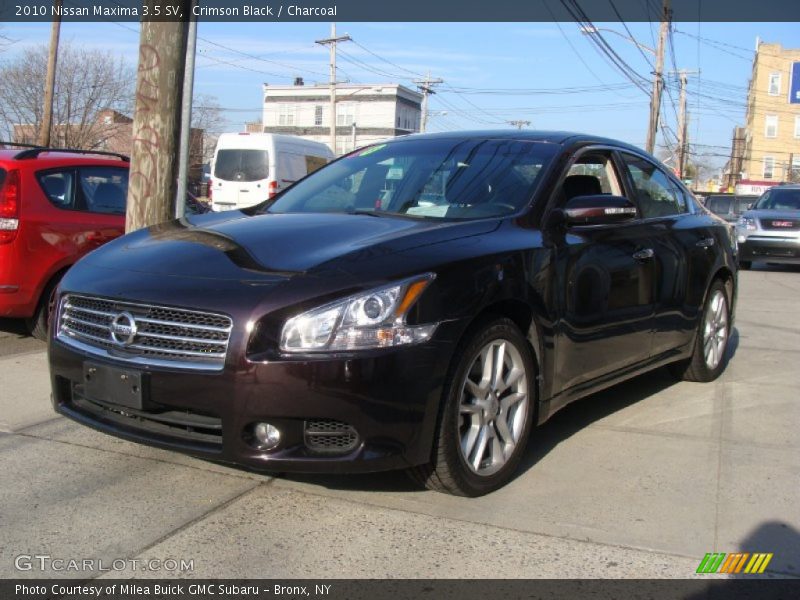 Crimson Black / Charcoal 2010 Nissan Maxima 3.5 SV