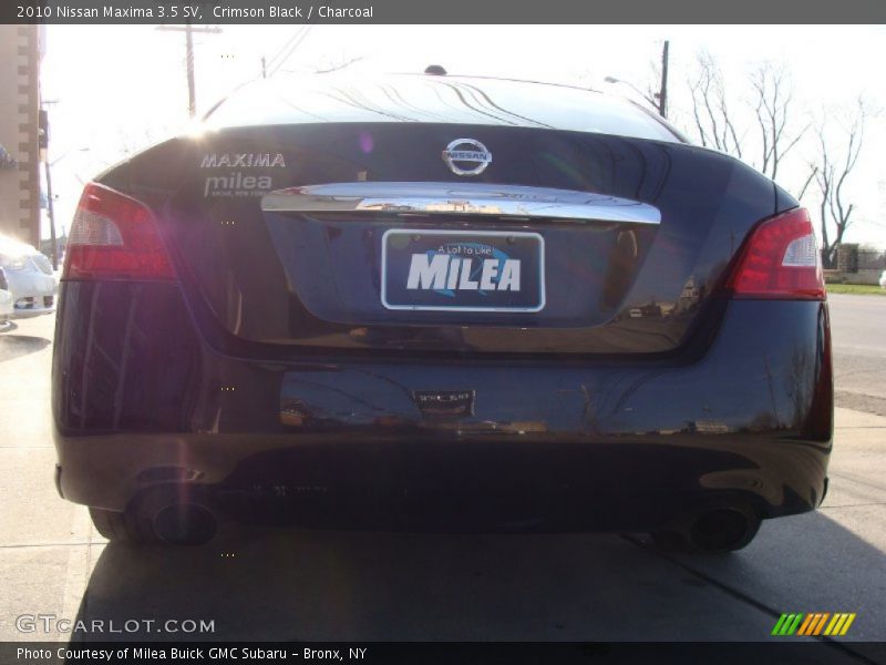 Crimson Black / Charcoal 2010 Nissan Maxima 3.5 SV