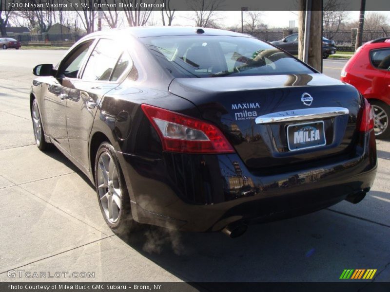 Crimson Black / Charcoal 2010 Nissan Maxima 3.5 SV