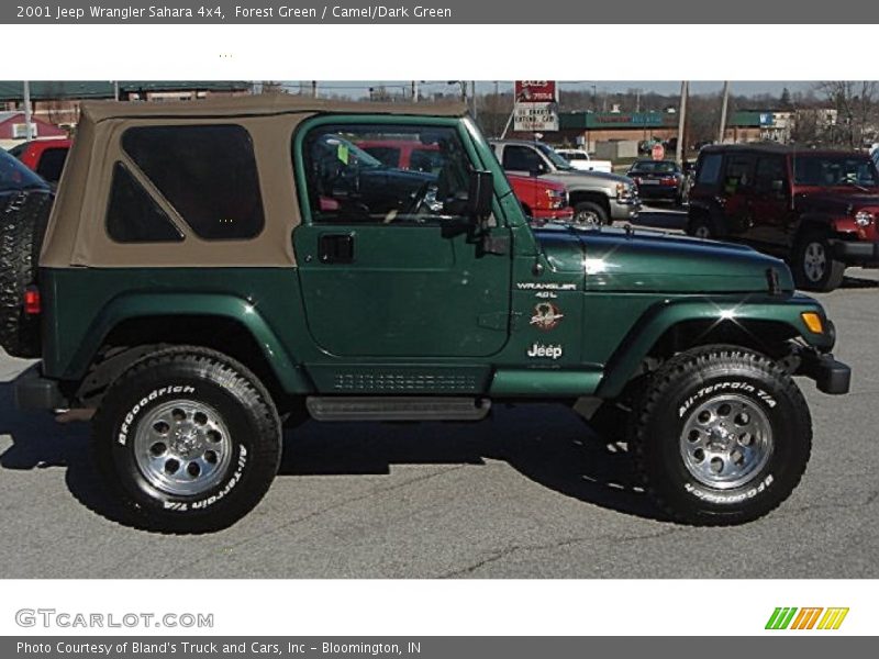 Forest Green / Camel/Dark Green 2001 Jeep Wrangler Sahara 4x4
