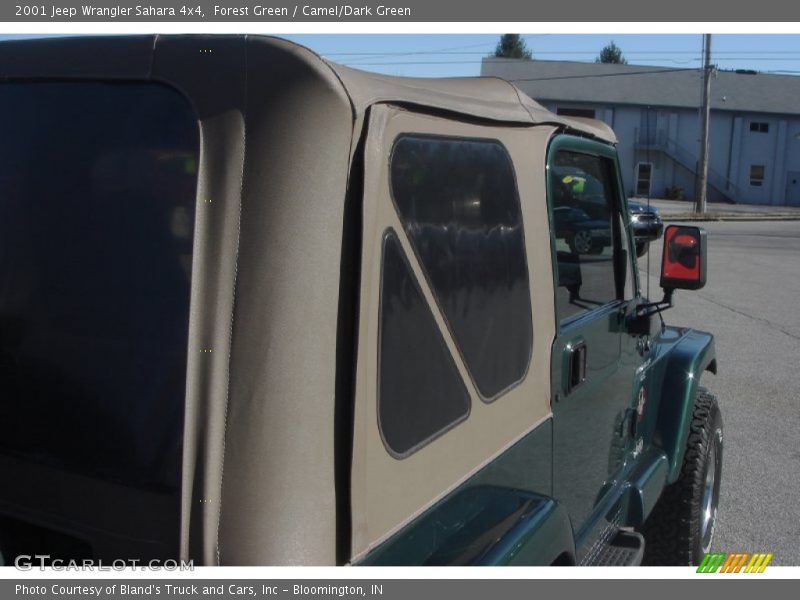 Forest Green / Camel/Dark Green 2001 Jeep Wrangler Sahara 4x4