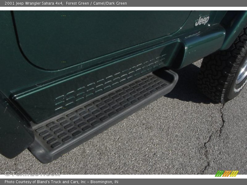 Forest Green / Camel/Dark Green 2001 Jeep Wrangler Sahara 4x4