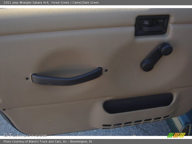 Forest Green / Camel/Dark Green 2001 Jeep Wrangler Sahara 4x4