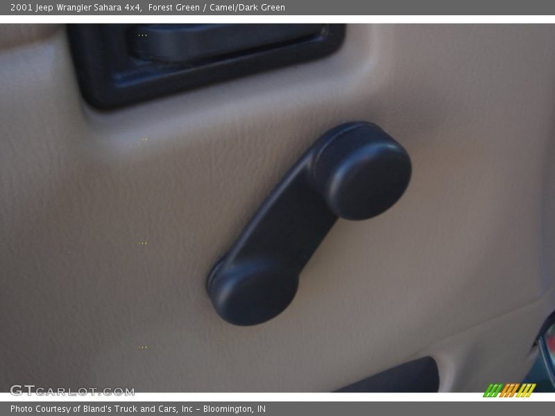 Forest Green / Camel/Dark Green 2001 Jeep Wrangler Sahara 4x4