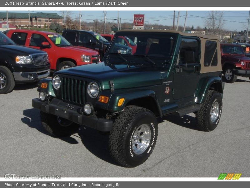 Forest Green / Camel/Dark Green 2001 Jeep Wrangler Sahara 4x4