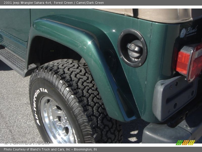 Forest Green / Camel/Dark Green 2001 Jeep Wrangler Sahara 4x4