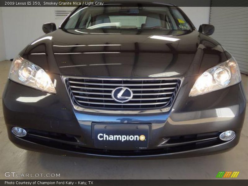 Smokey Granite Mica / Light Gray 2009 Lexus ES 350