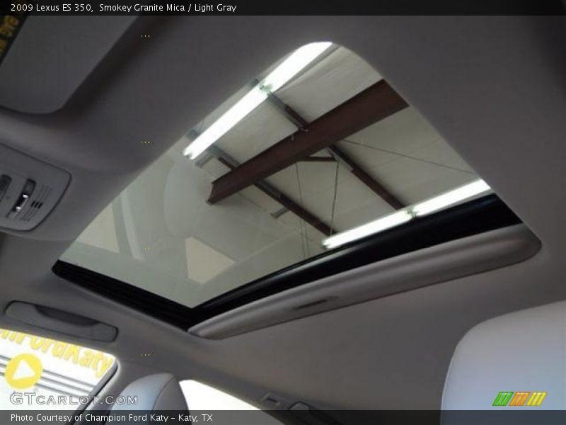 Smokey Granite Mica / Light Gray 2009 Lexus ES 350