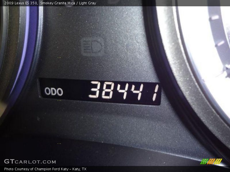 Smokey Granite Mica / Light Gray 2009 Lexus ES 350