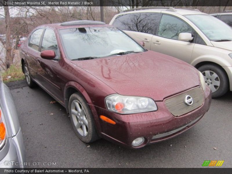 Merlot Red Metallic / Black 2002 Nissan Maxima SE