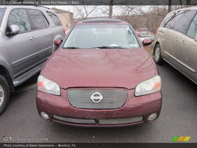 Merlot Red Metallic / Black 2002 Nissan Maxima SE