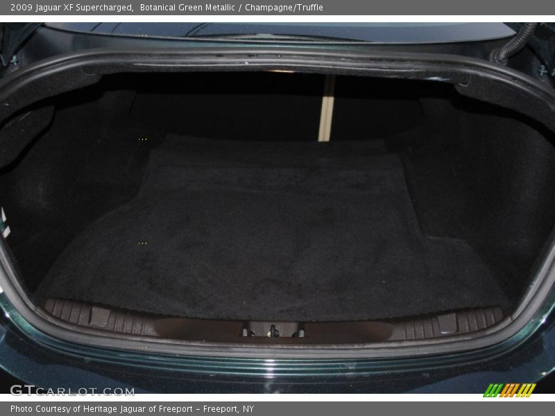 Botanical Green Metallic / Champagne/Truffle 2009 Jaguar XF Supercharged