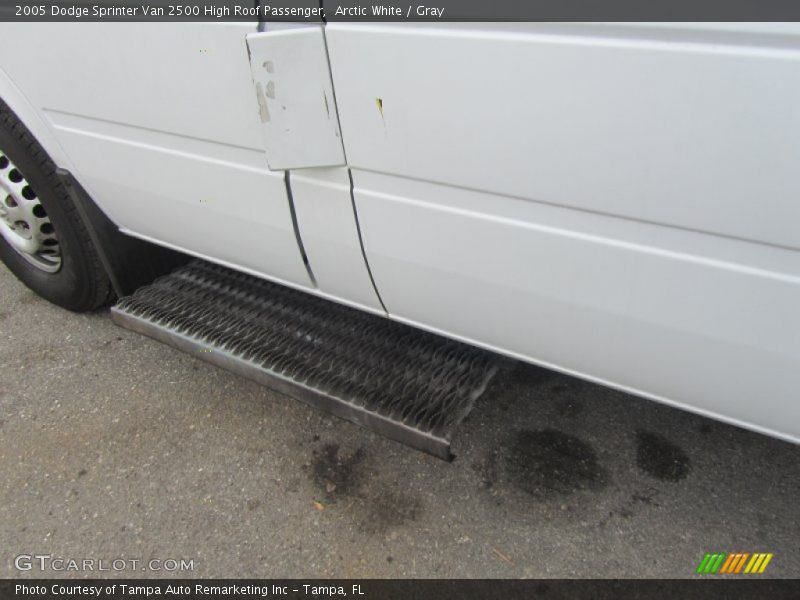 Arctic White / Gray 2005 Dodge Sprinter Van 2500 High Roof Passenger